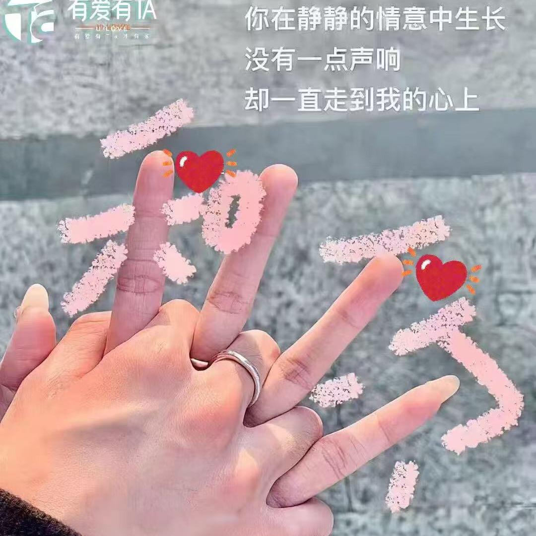 北海合浦组合队长