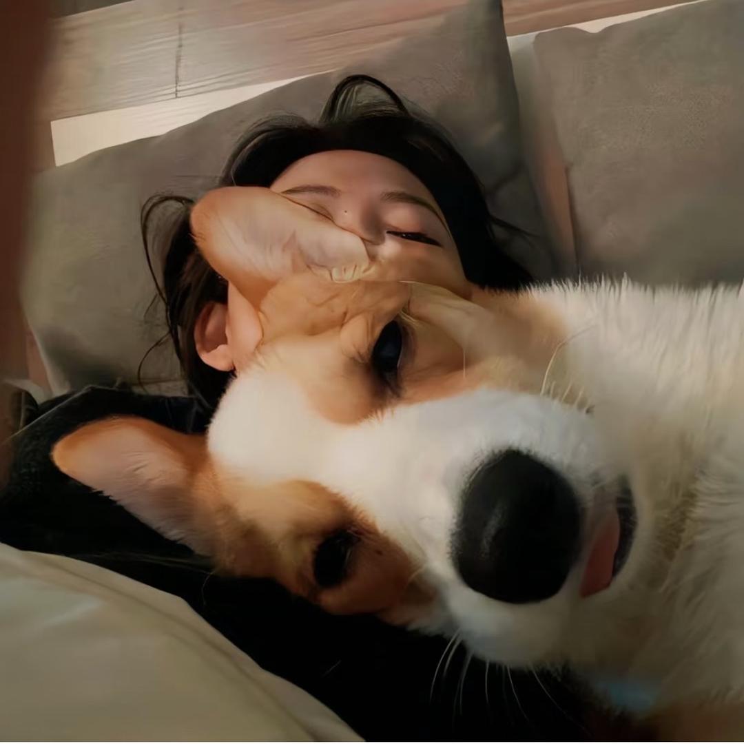 太阳热糊了