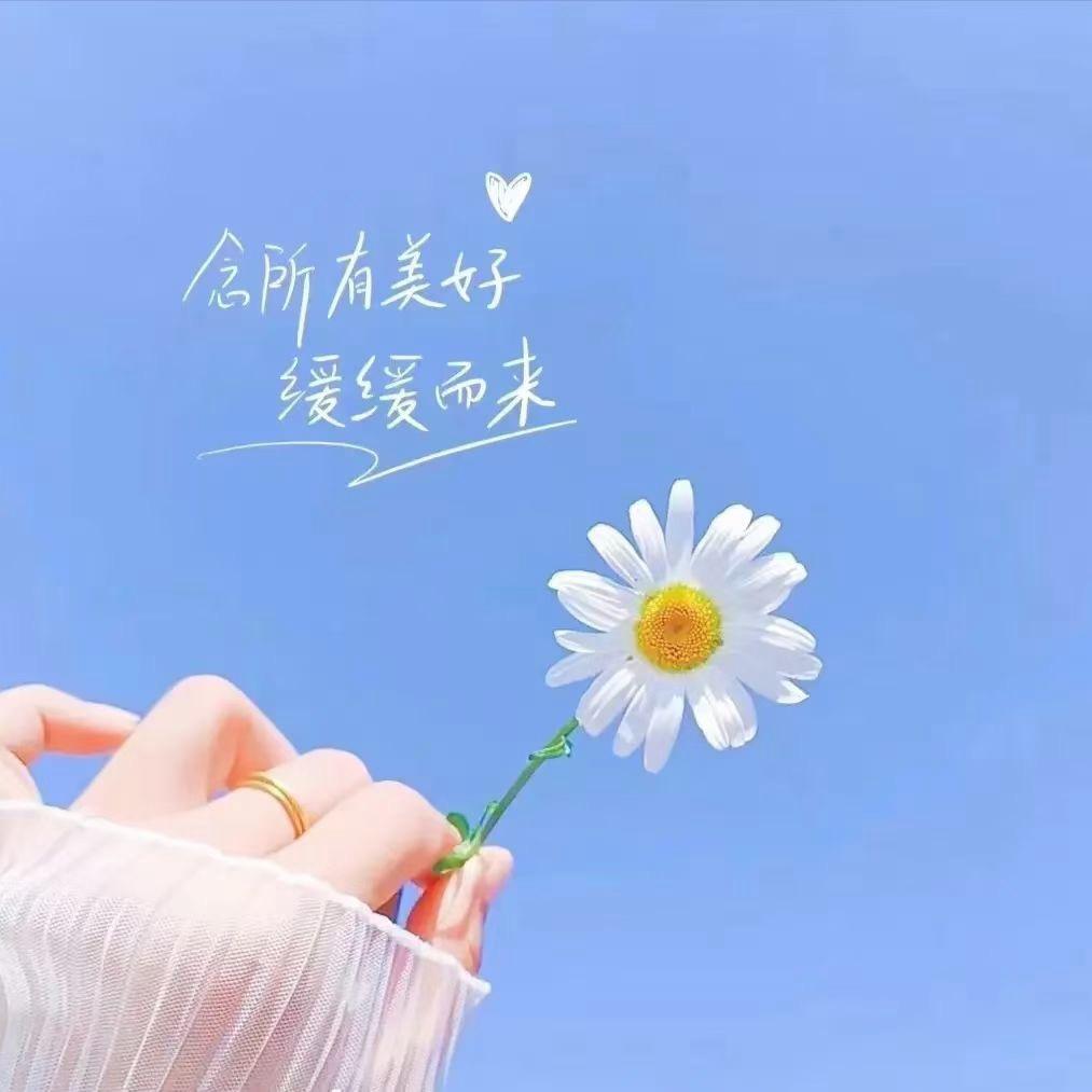 岁月静好、、、