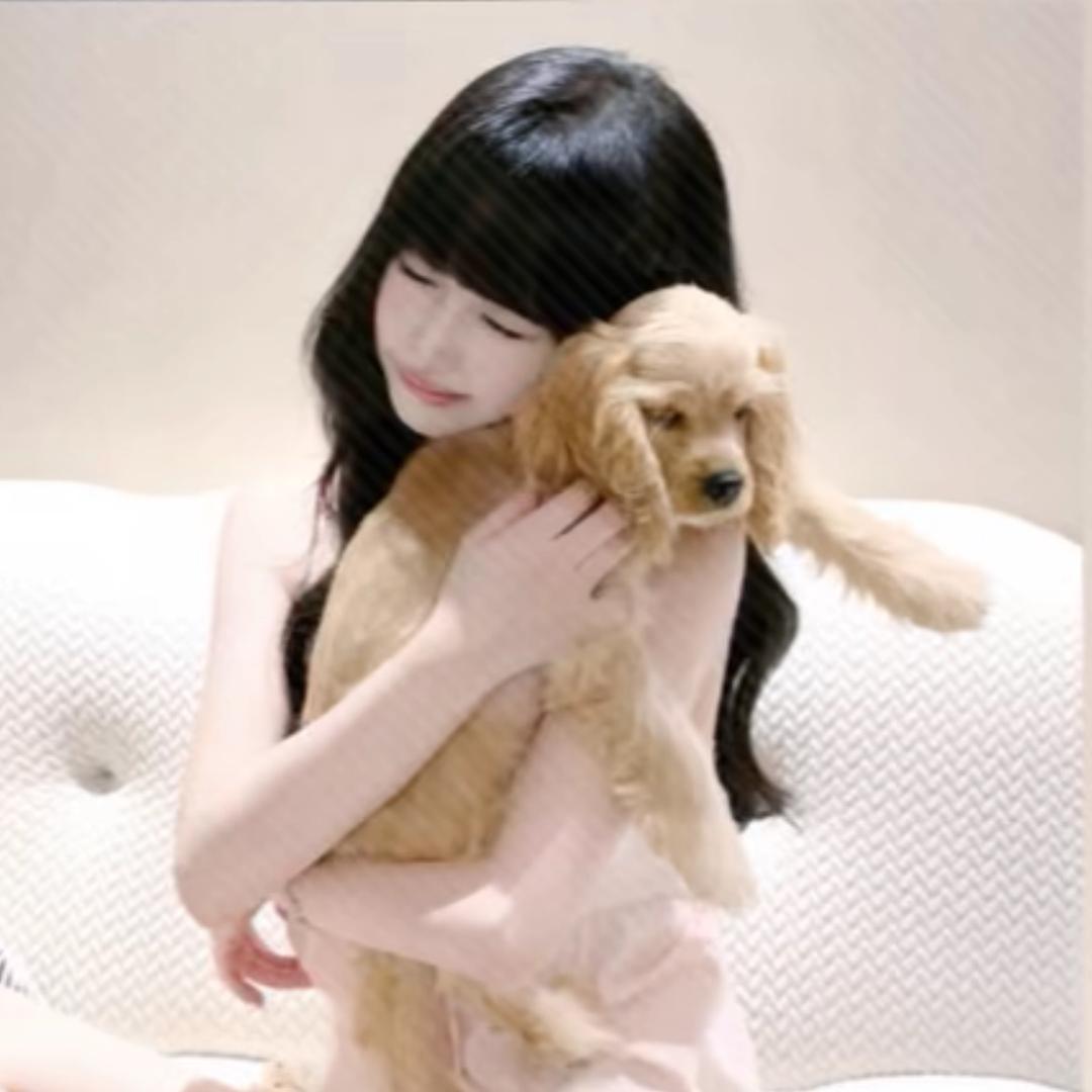 碎猫