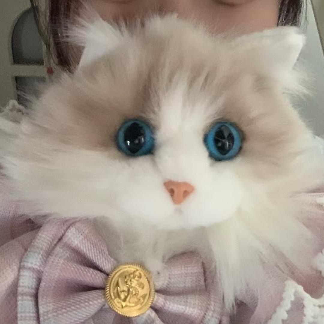 小裙唯一
