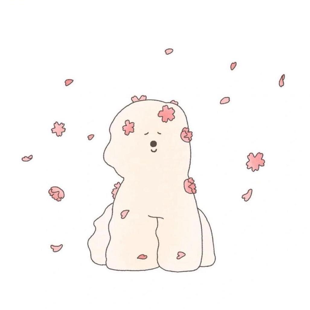 是郑禾菀