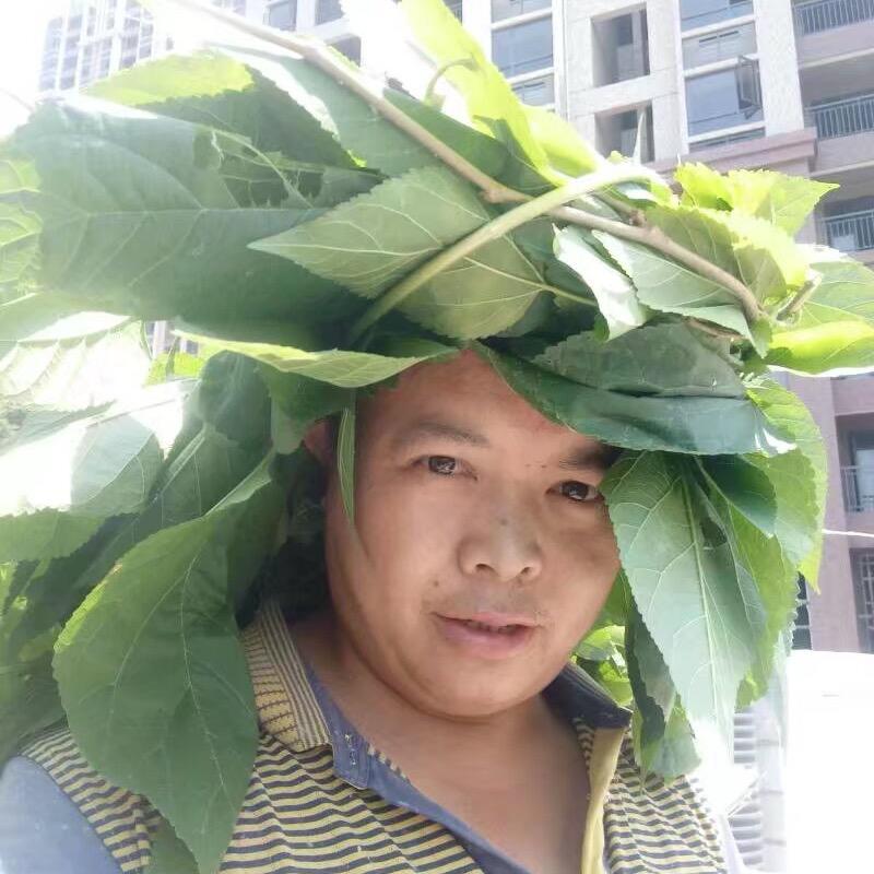 💘阿才哥💘🛜🇨🇳
