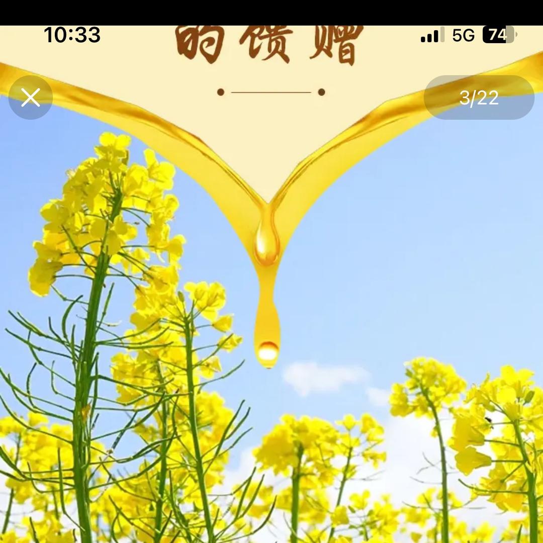 金鑫康小榨菜籽油