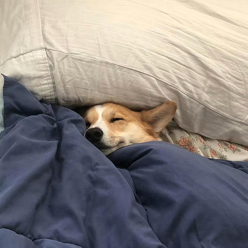 噗噗⁰⁴⁵¹💨💨