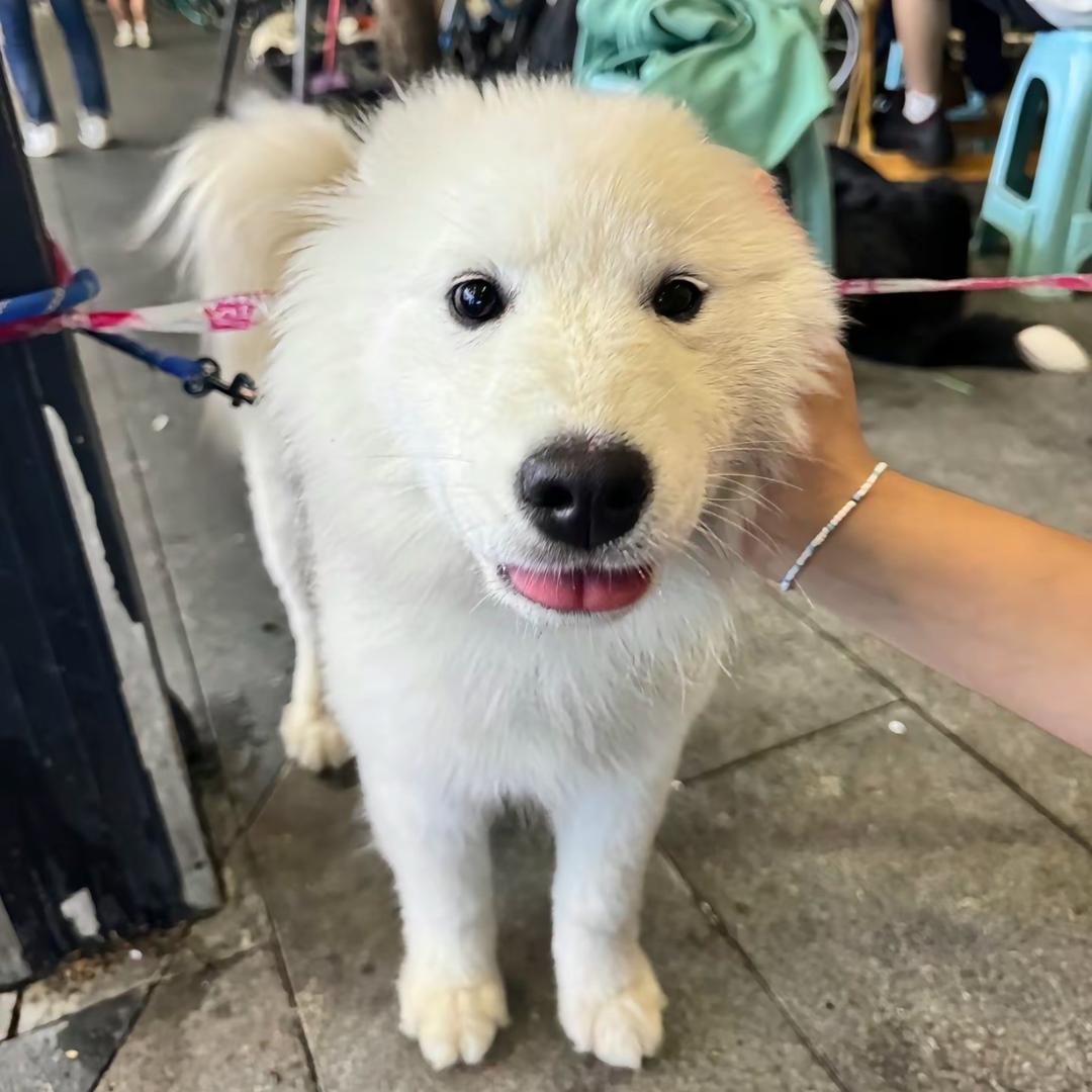 LULU