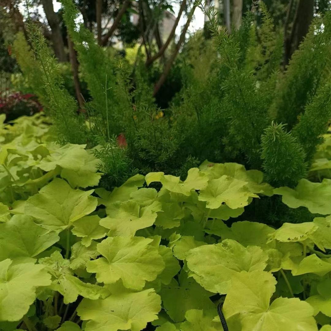 珍惜永恒