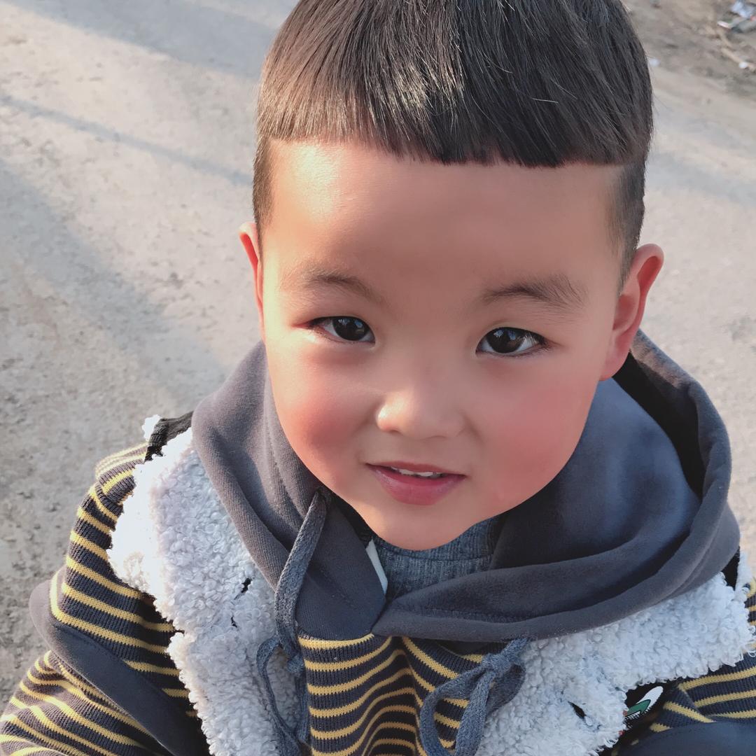 👑贝