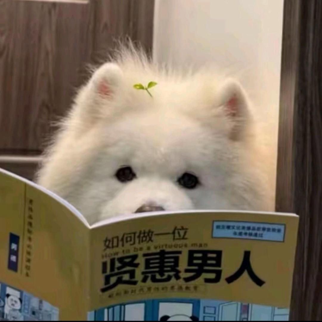 00000