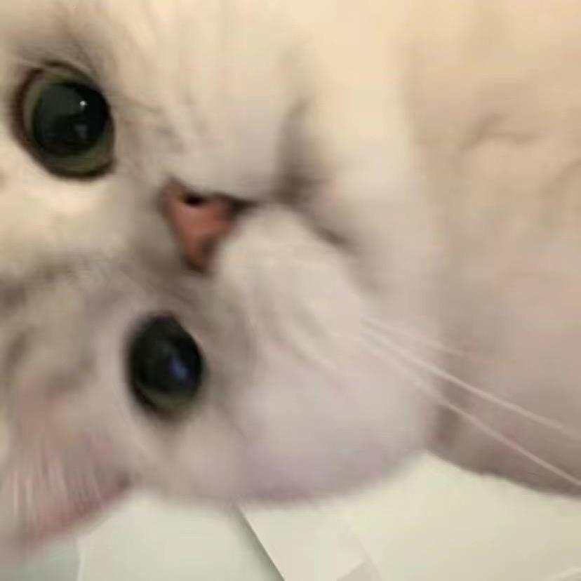 飘零