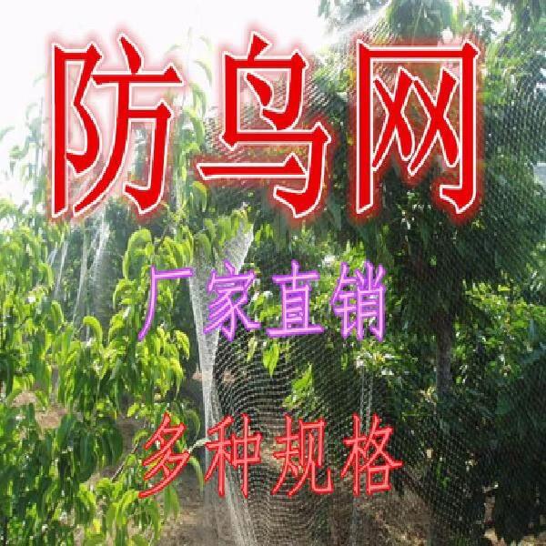 天网，葡萄网，