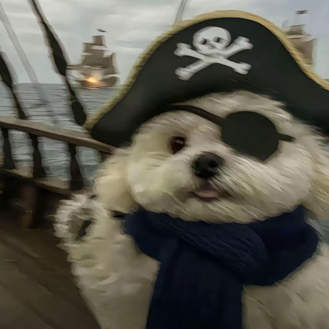 太原租房小岁（金牌带看）