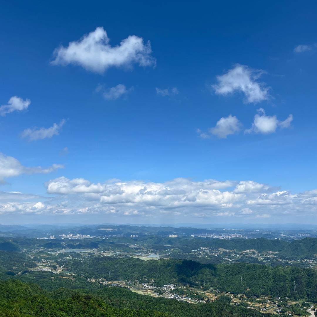 宏小胆