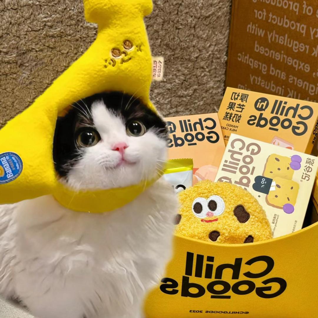 喵喵星人DIY呀欧气潮玩