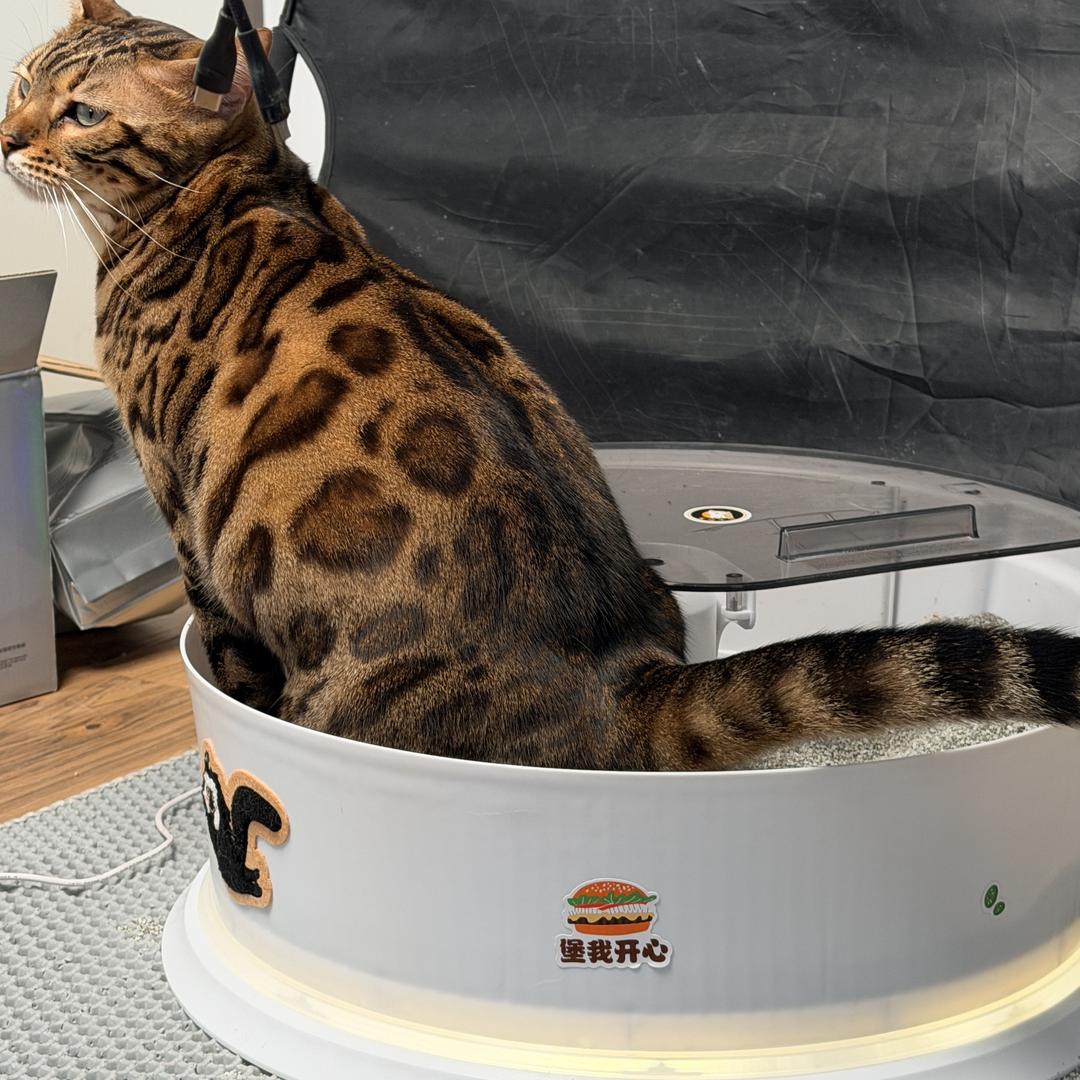 斐瓦好盆友