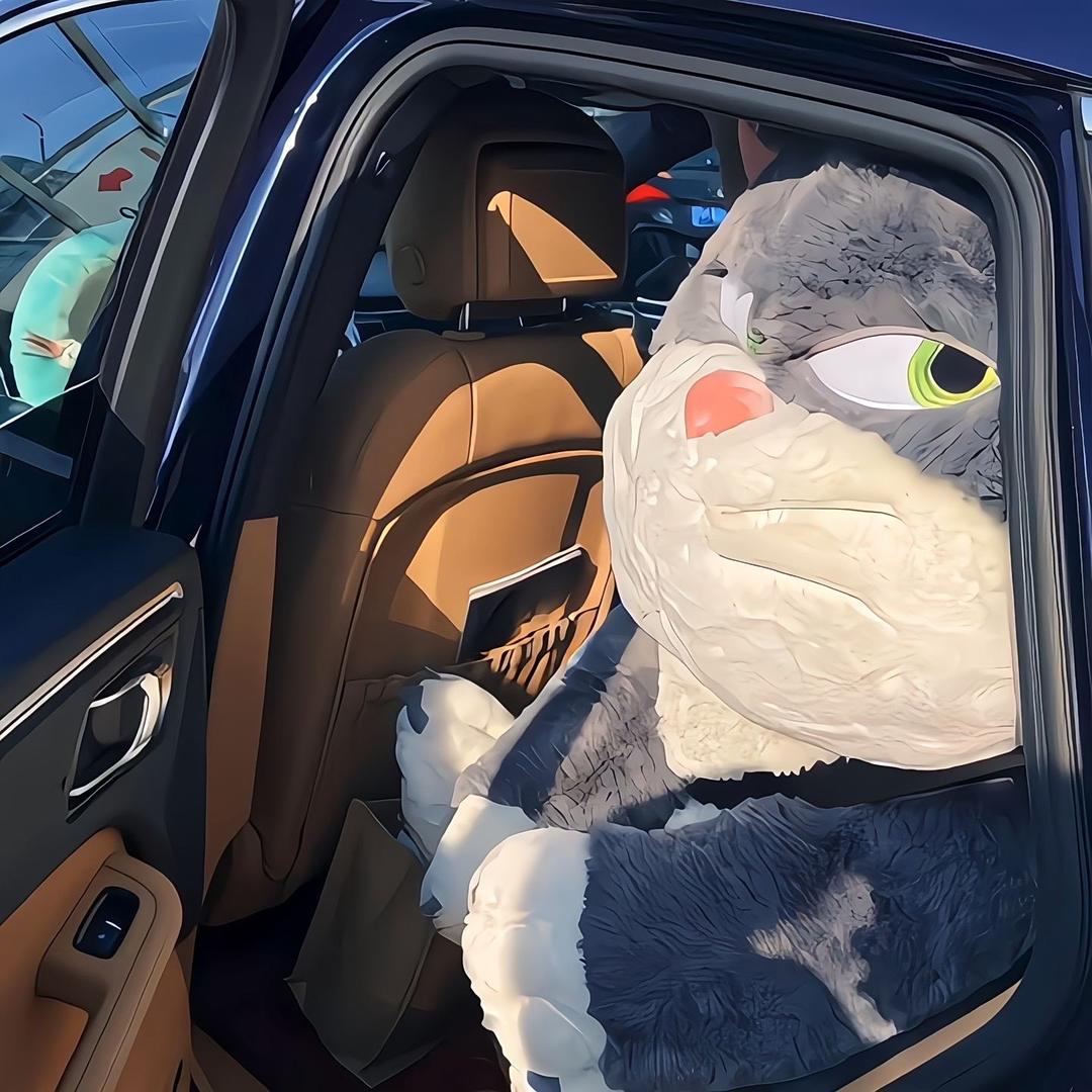 多米的玩具小屋