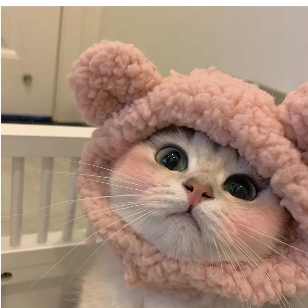 系叫婷婷唔叫乌婷