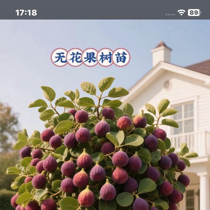 珞宴栐盛果树苗木专卖店