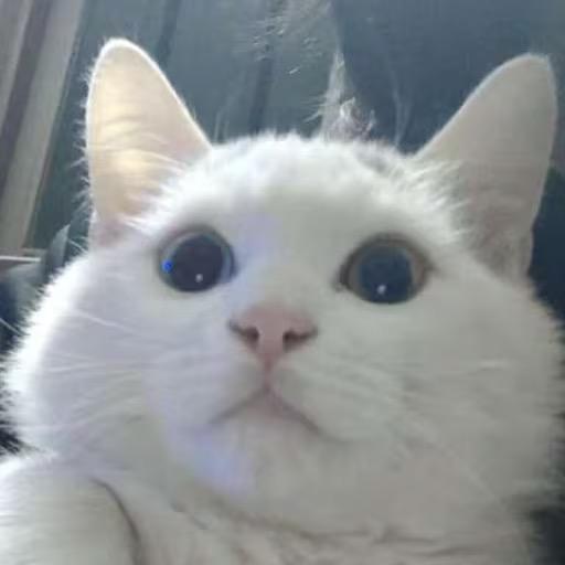 纣王