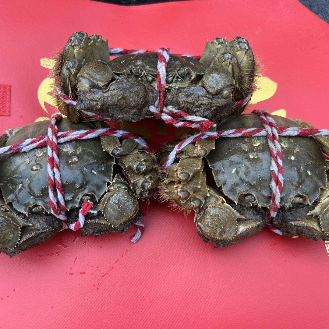 仙桃市国营排湖渔场