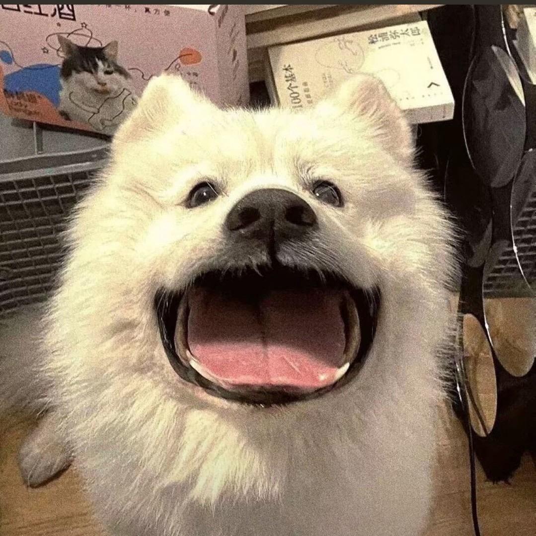 明野x头像