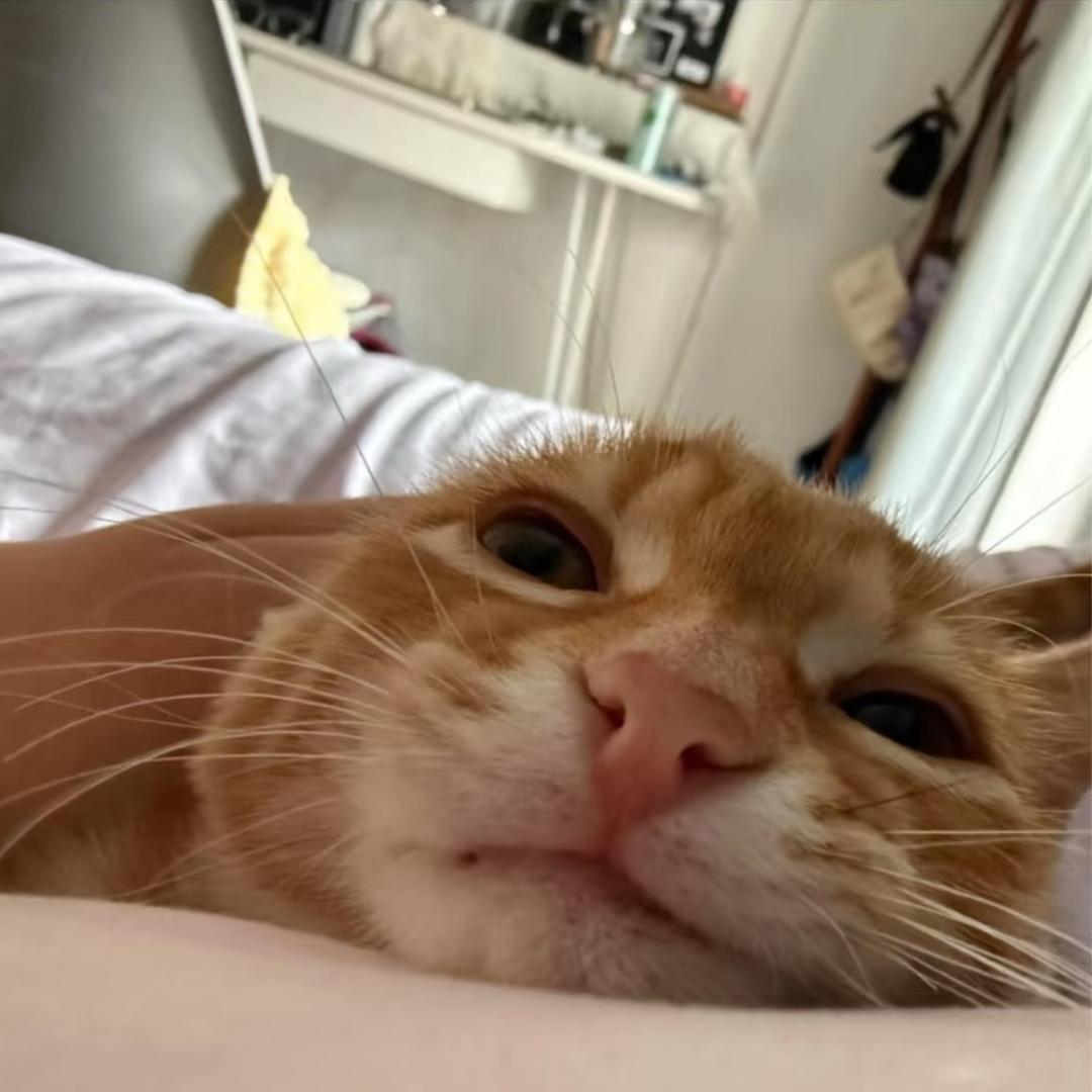 7Q