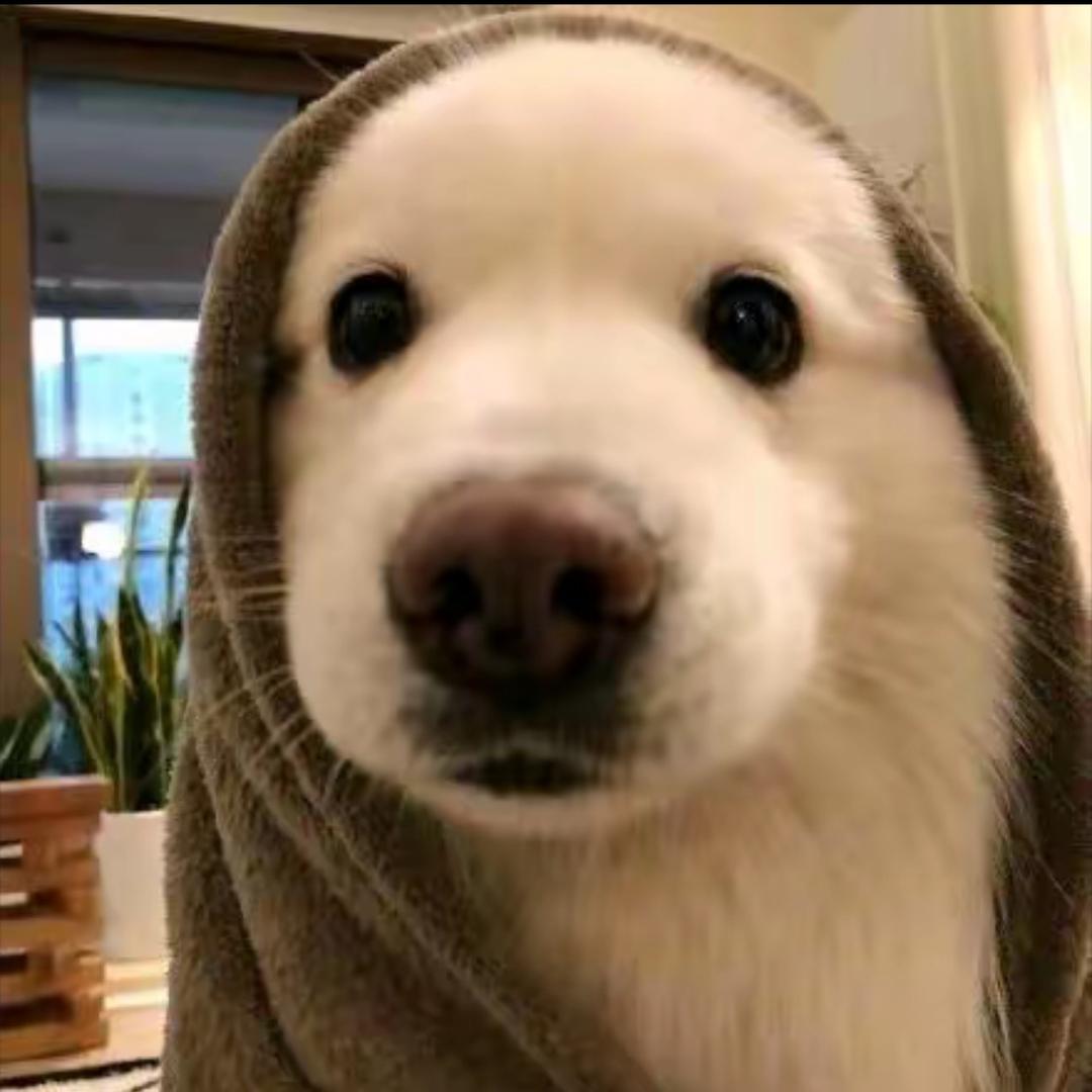 ￴ㅤ￴￴ ￴￴￴ㅤ￴￴￴ㅤ￴￴￴ㅤ￴￴