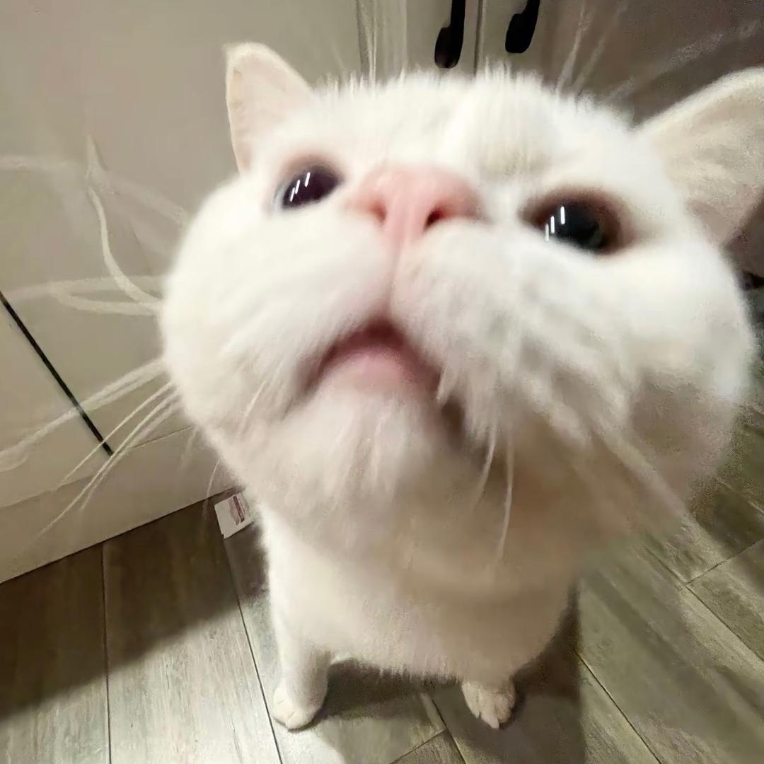 性感御姐被上班强制爱后变成老太婆神经病