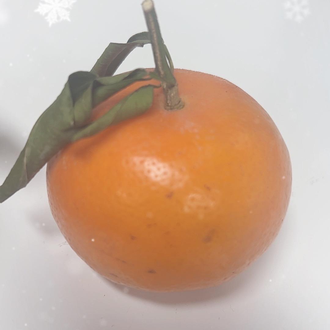 骑马打仗