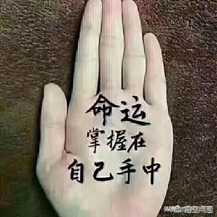 小谢精品胡萝卜农业有限公司