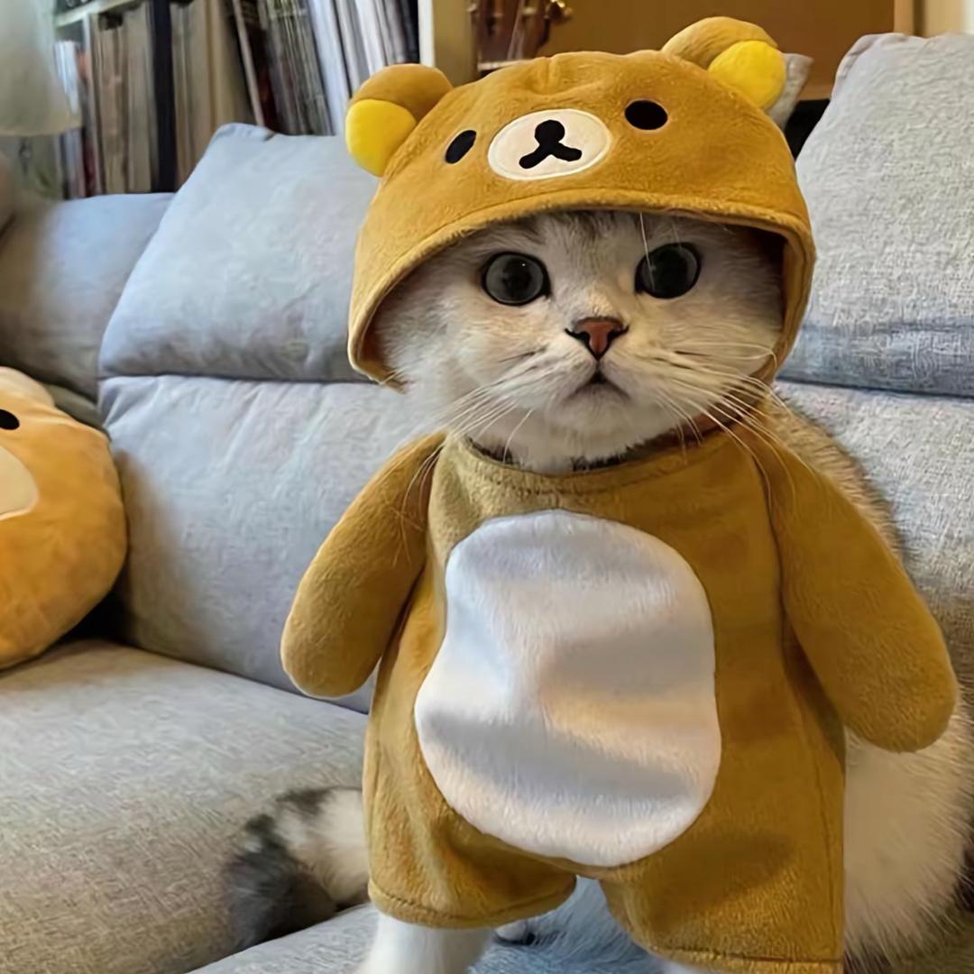 天赋总搞怪.