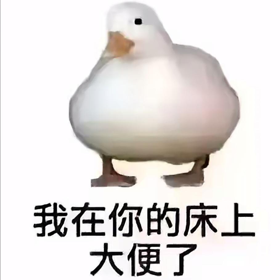 挖坑蛋蛋大王