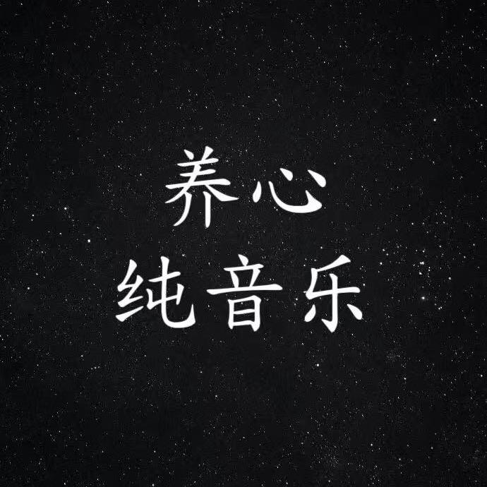 养心纯音乐（可够U盘）