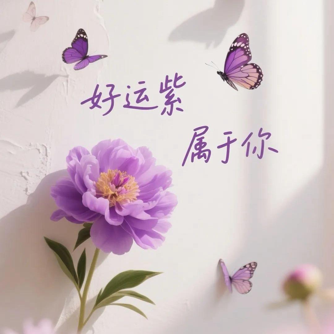 ꧁༺木子姐姐༻꧂