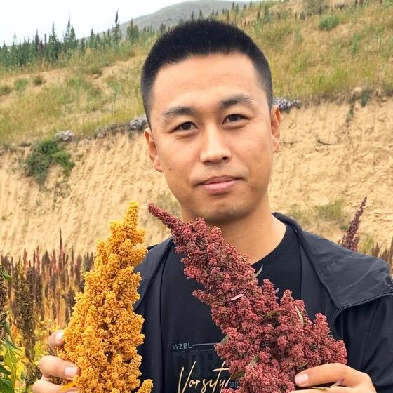 盛穗藜麦产地源头工厂店