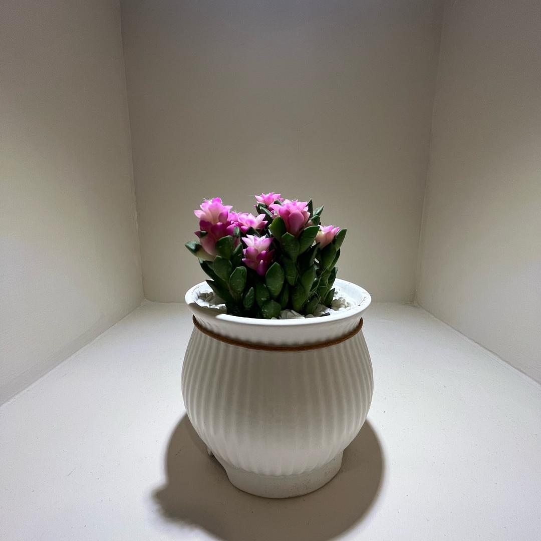 西安晟天文化传媒-小陈