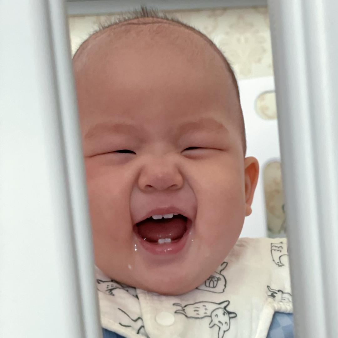 一只七一