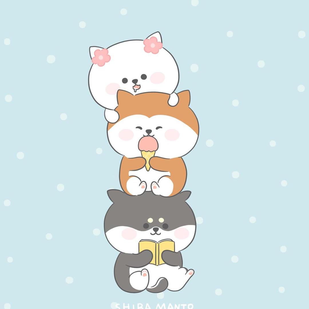 一朵蒲公英