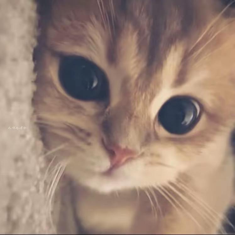 久违放晴的天空、