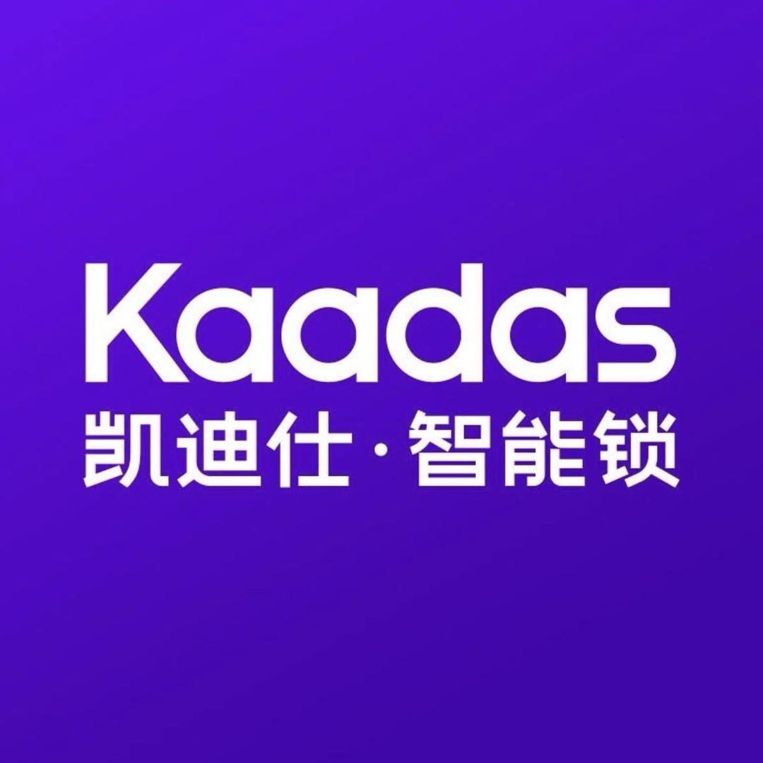 凯迪仕智能锁（襄阳 老河口）