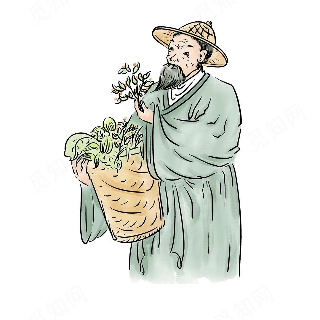 善渊