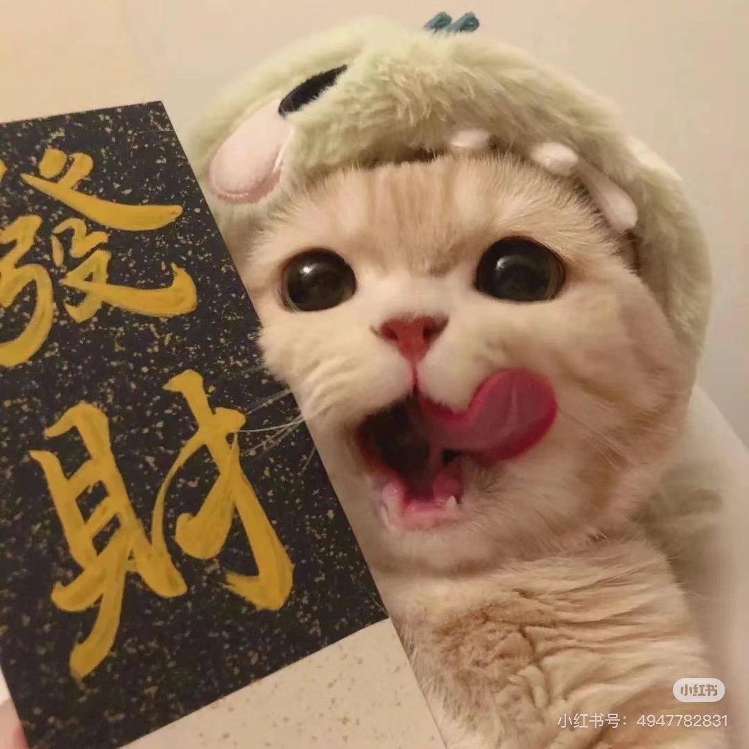 大大租房