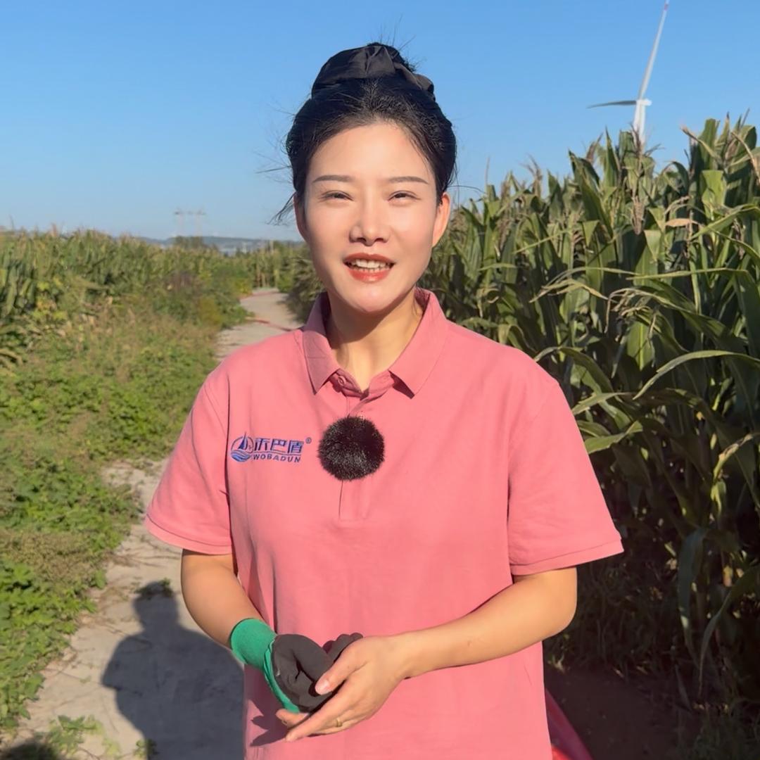 农技服务小梦（商品在橱窗）