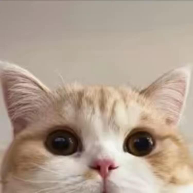 亦未追剧