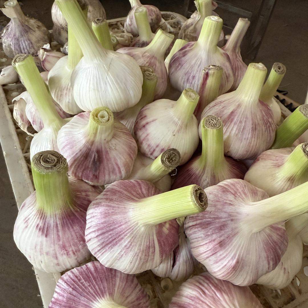 纳咖玛农产品企业店