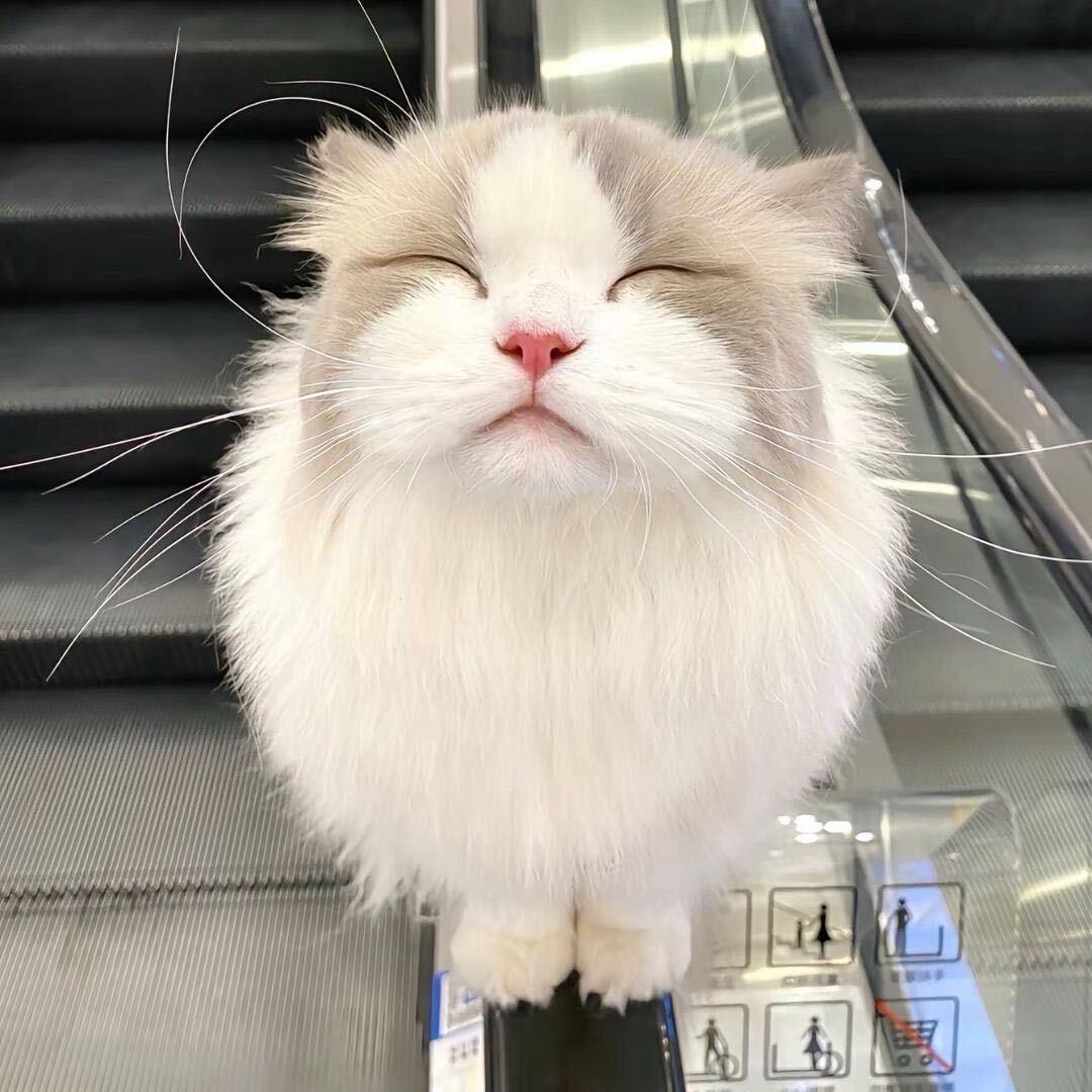 無人区