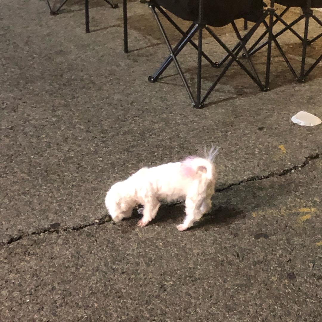 广州耳姬五羊新城店