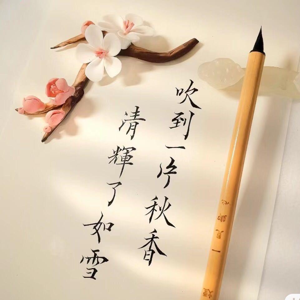 博晗艺术中心
