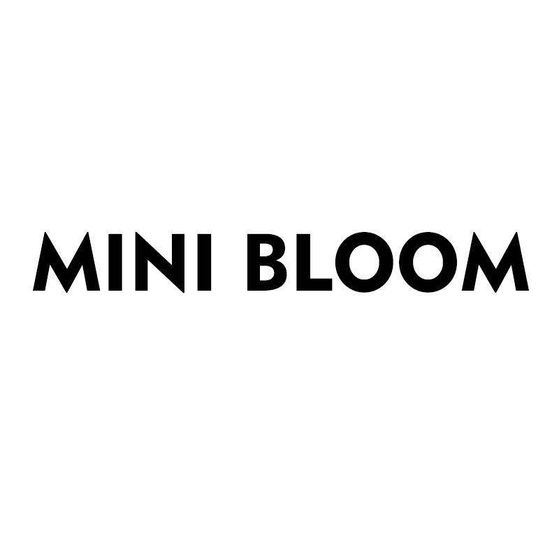 MINI BLOOM饰品