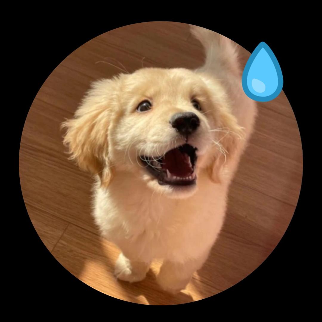 超级可爱鱼